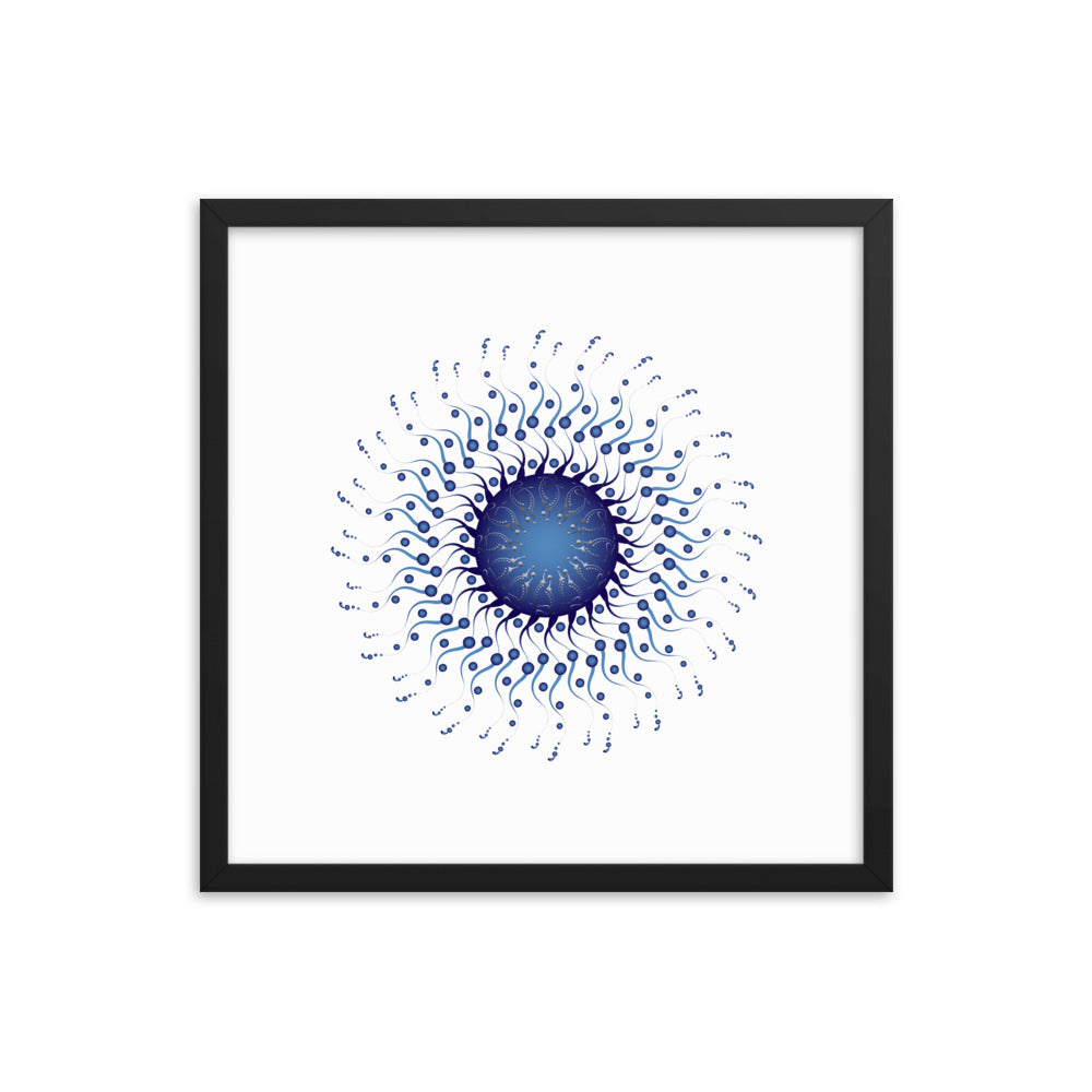 Framed poster Mandala Circularium No 2307 Free Shipping