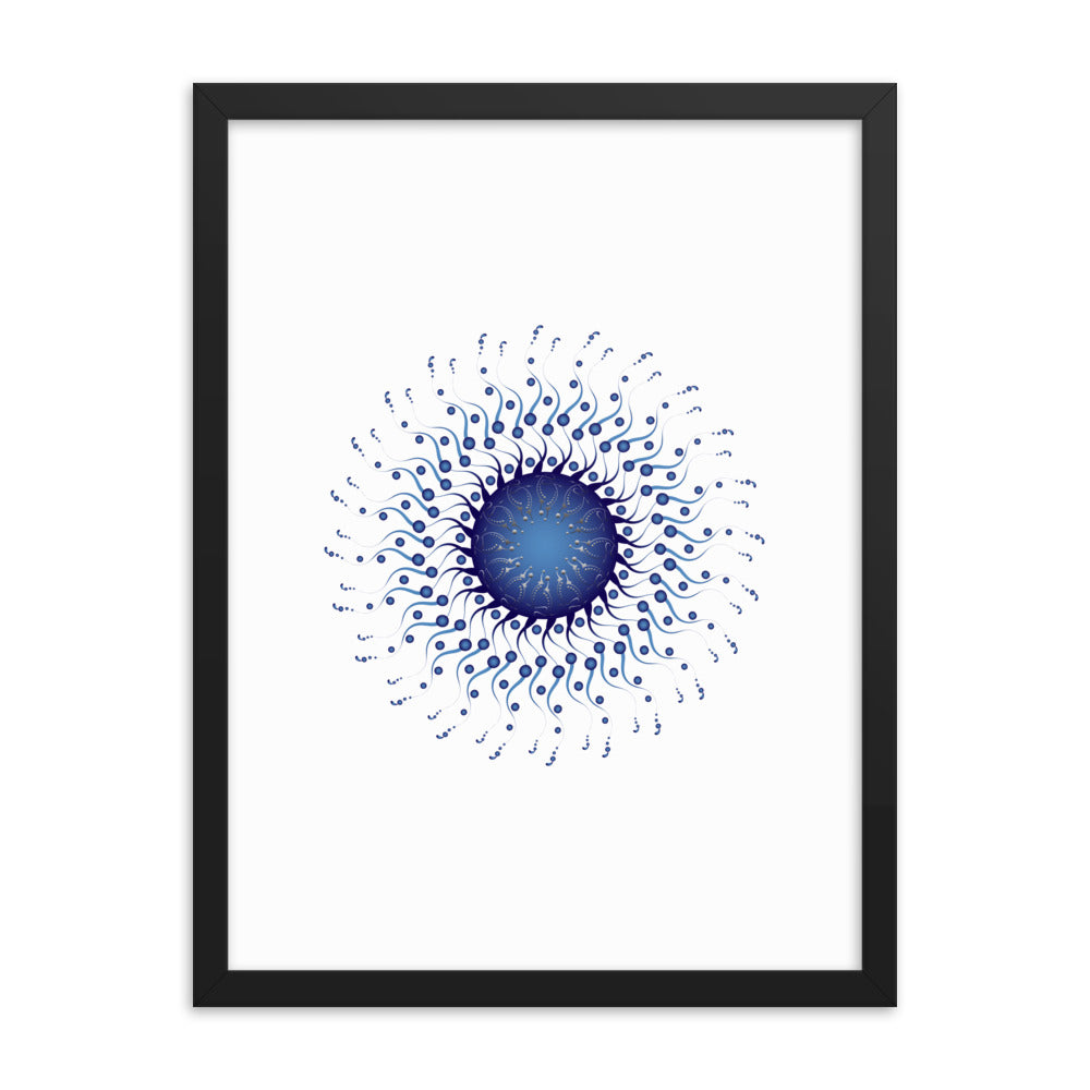 Framed poster Mandala Circularium No 2307 Free Shipping