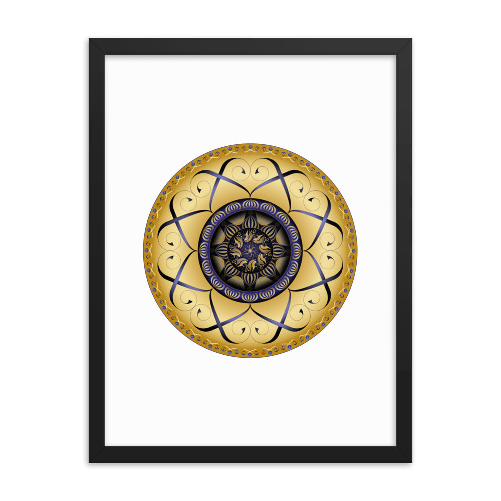 Framed poster Mandala Circularium No 2459 Free Shipping