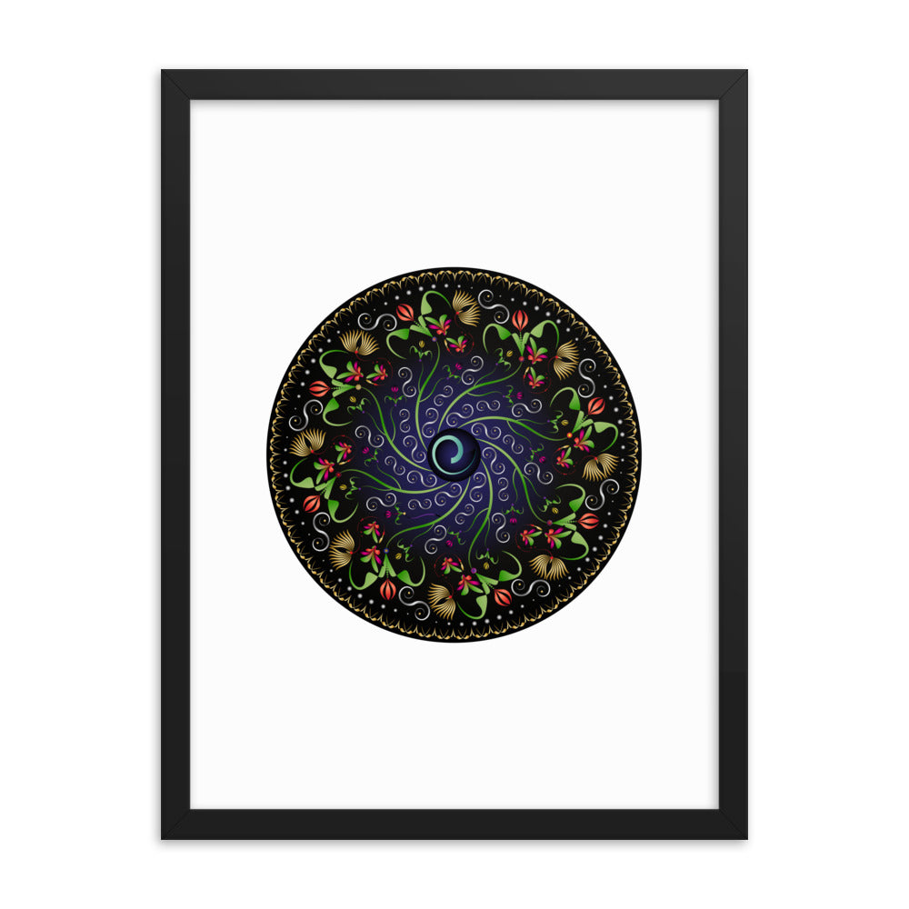 Framed poster Mandala Circularium No 2680 Free Shipping