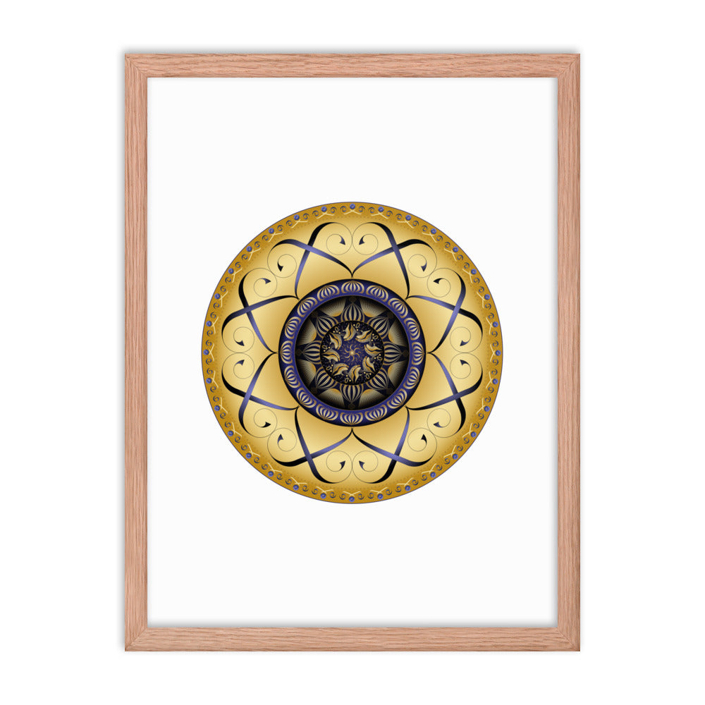 Framed poster Mandala Circularium No 2459 Free Shipping