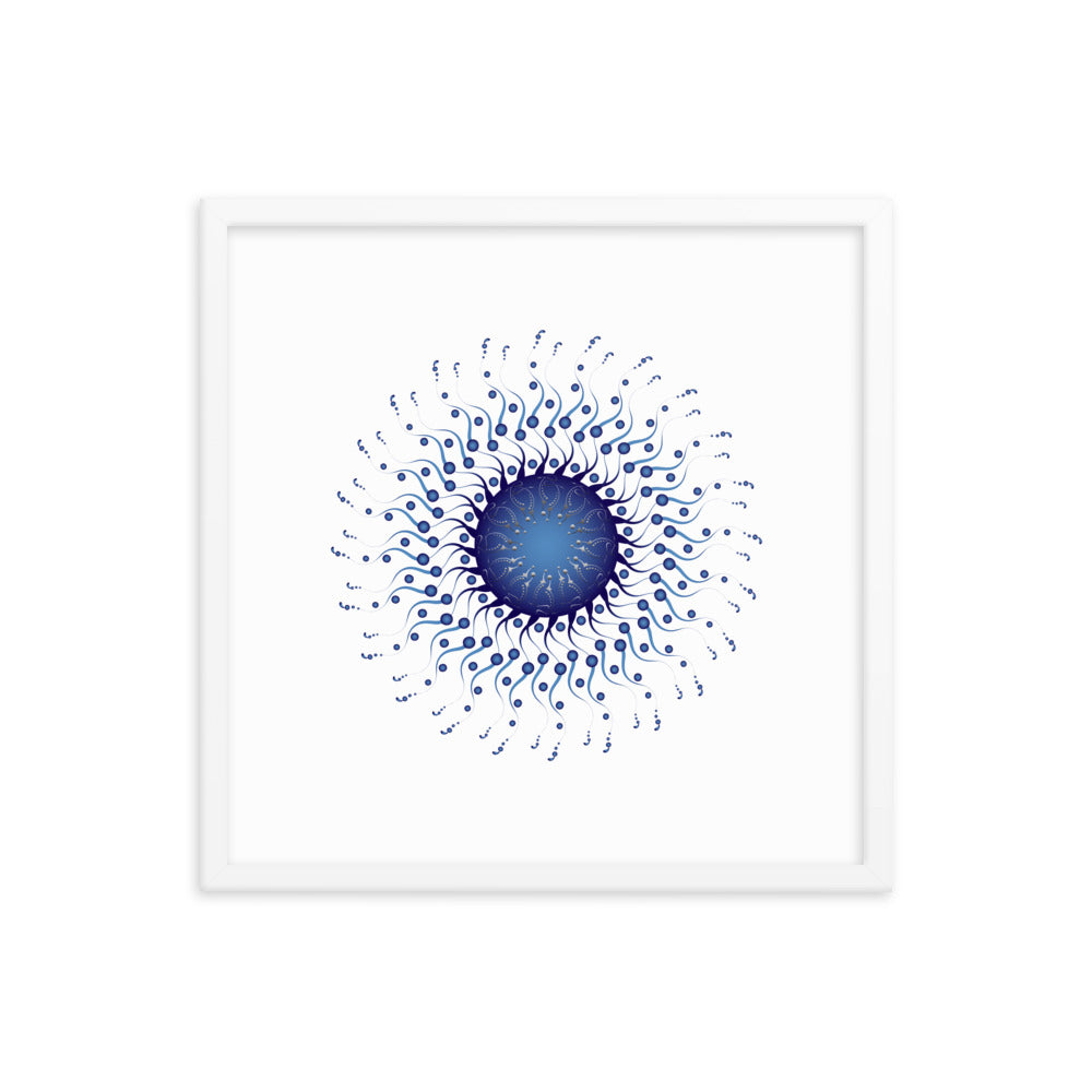 Framed poster Mandala Circularium No 2307 Free Shipping