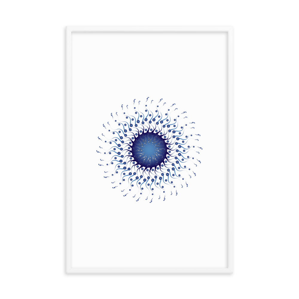 Framed poster Mandala Circularium No 2307 Free Shipping