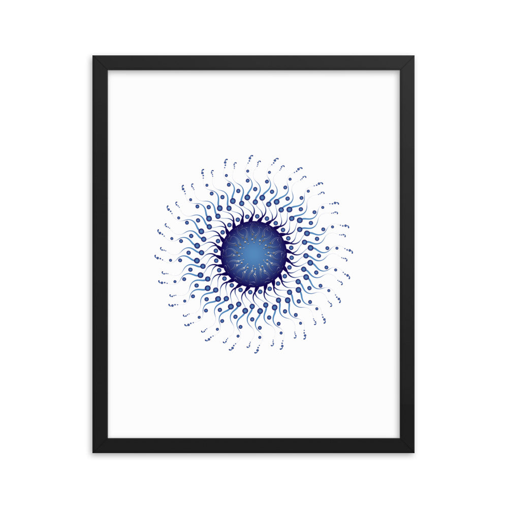 Framed poster Mandala Circularium No 2307 Free Shipping