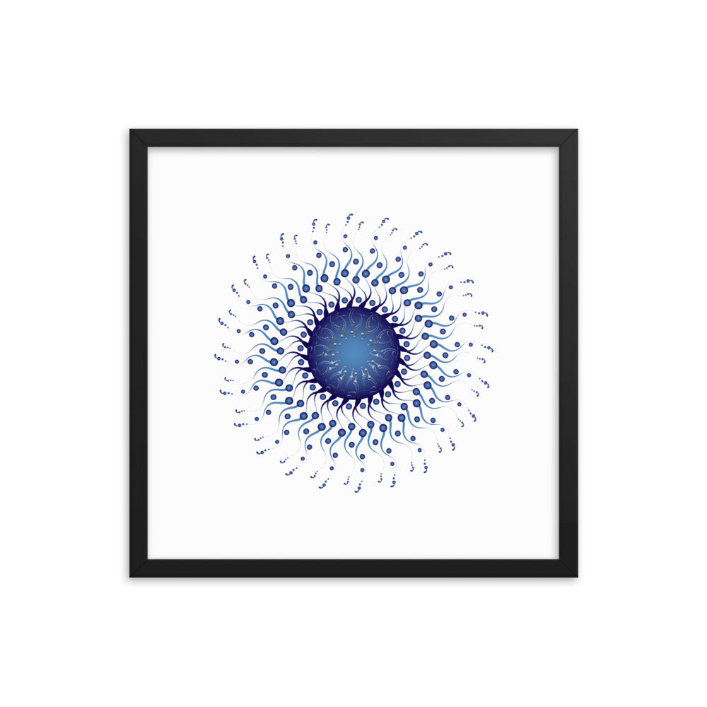 Framed poster Mandala Circularium No 2307 Free Shipping