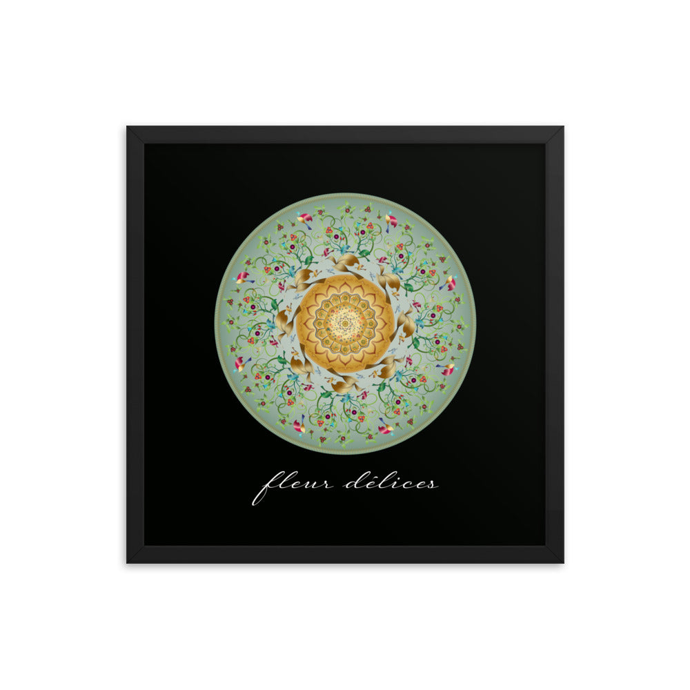 Framed Poster Circumplexical No 3953 Mandala Fleur Delices Flower Delights Free Shipping