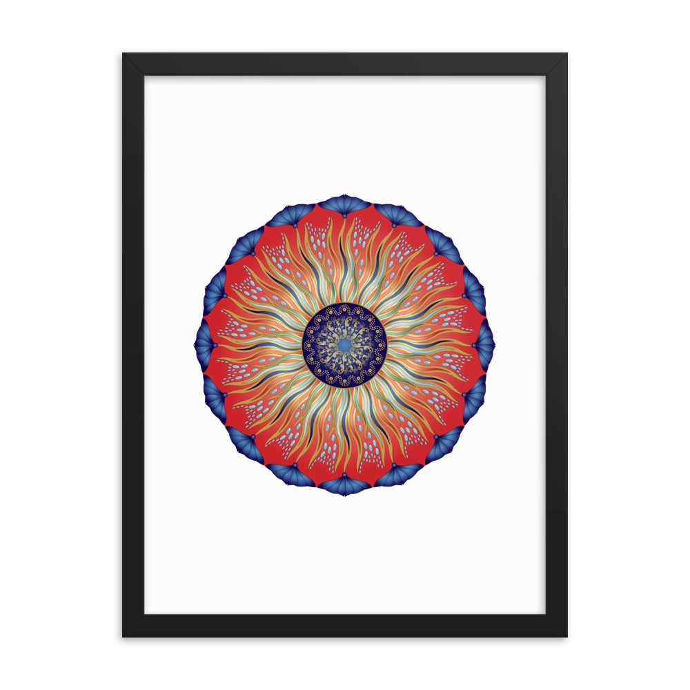 Framed poster Mandala Circularium No 2626 Free Shipping