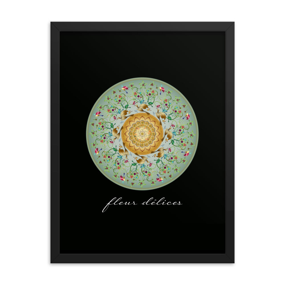 Framed Poster Circumplexical No 3953 Mandala Fleur Delices Flower Delights Free Shipping