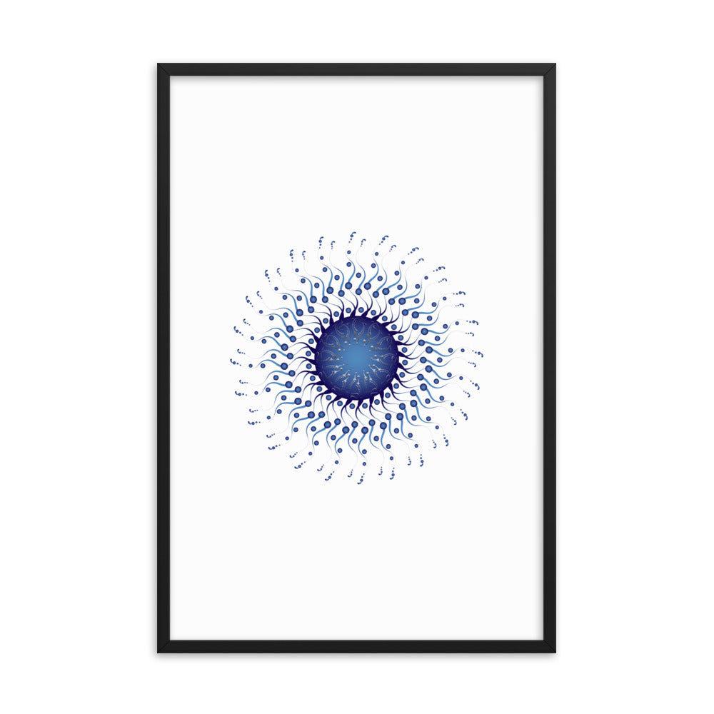 Framed poster Mandala Circularium No 2307 Free Shipping