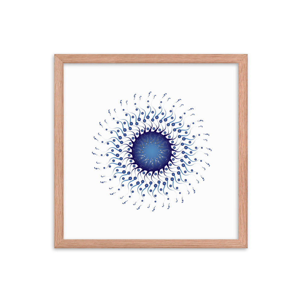 Framed poster Mandala Circularium No 2307 Free Shipping