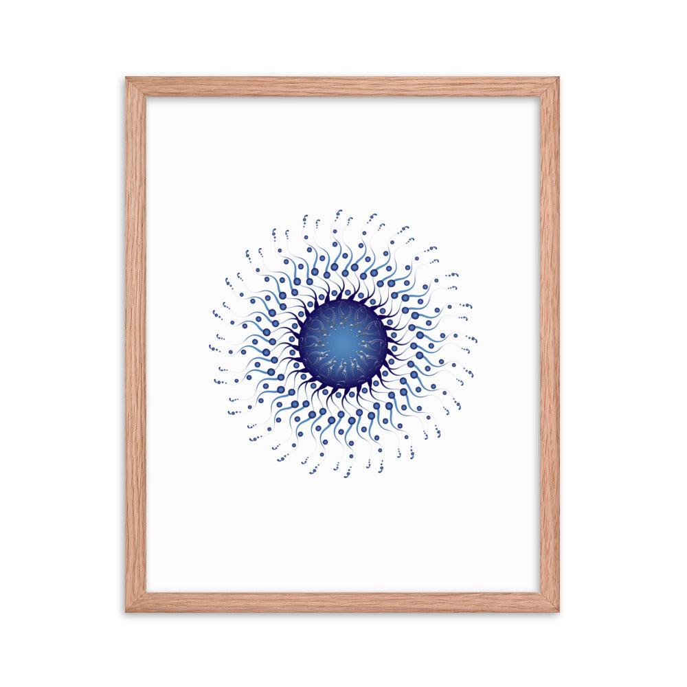 Framed poster Mandala Circularium No 2307 Free Shipping