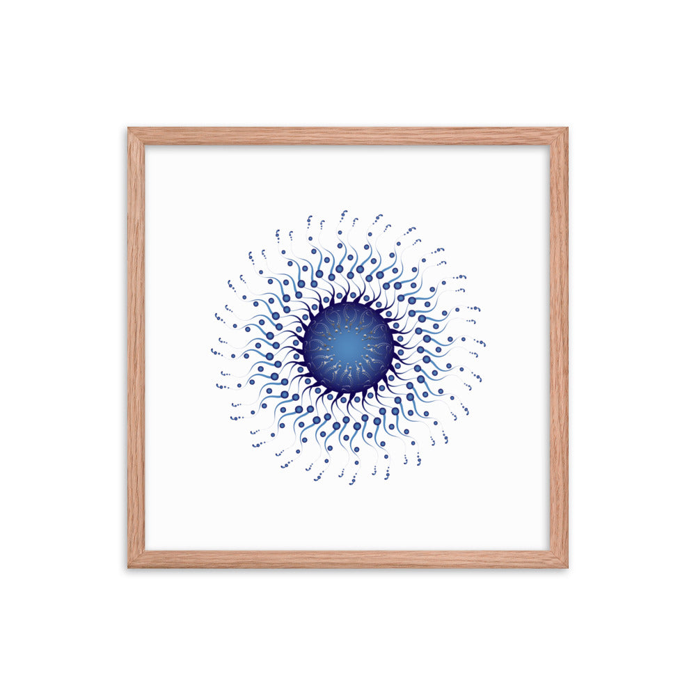 Framed poster Mandala Circularium No 2307 Free Shipping