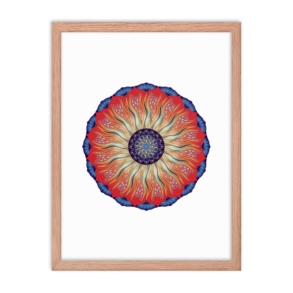 Framed poster Mandala Circularium No 2626 Free Shipping