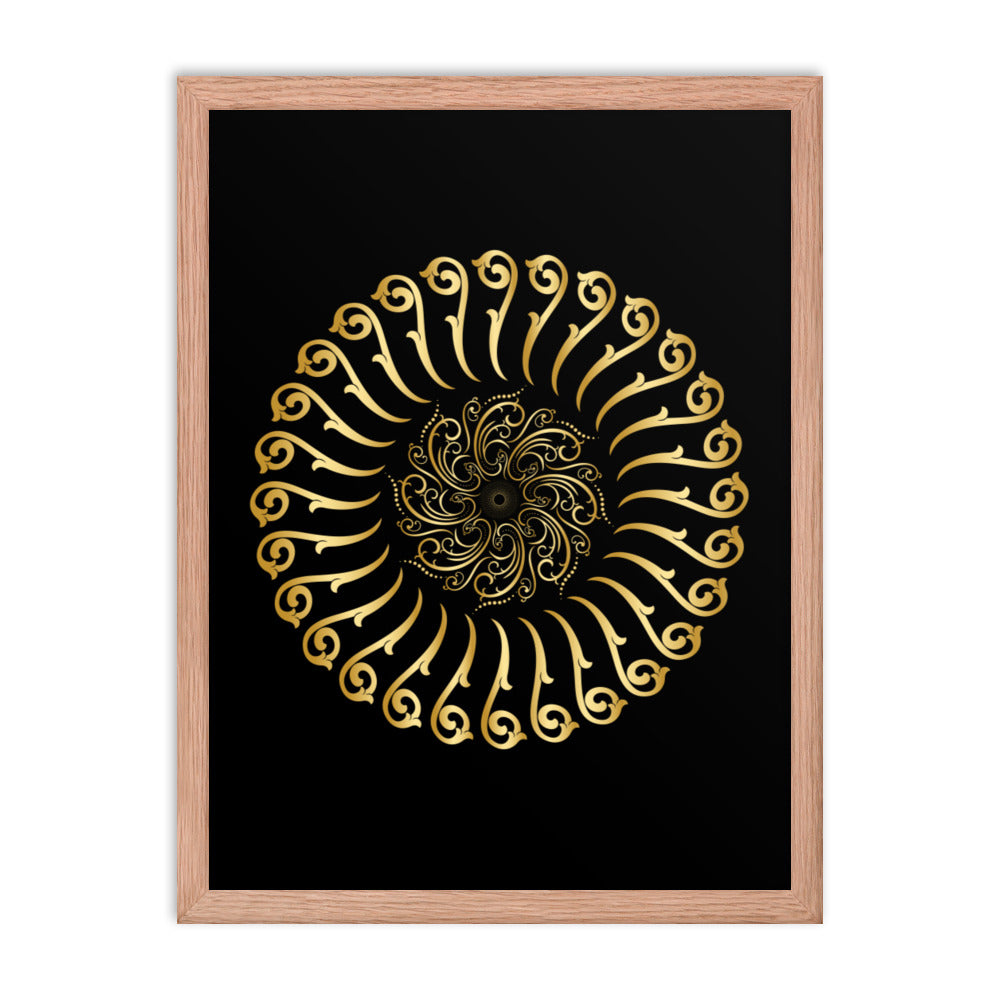 Framed poster Mandala Circularity No 501 Black bkgd Free Shipping