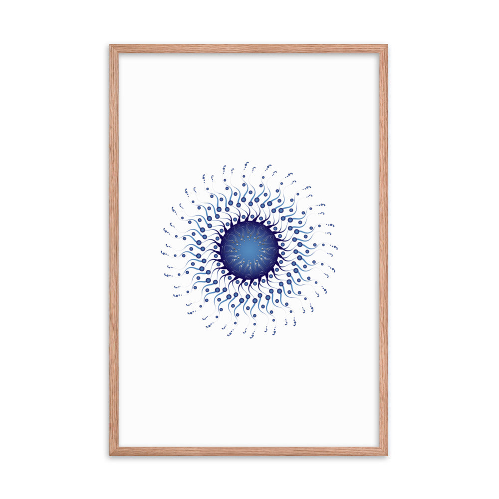 Framed poster Mandala Circularium No 2307 Free Shipping