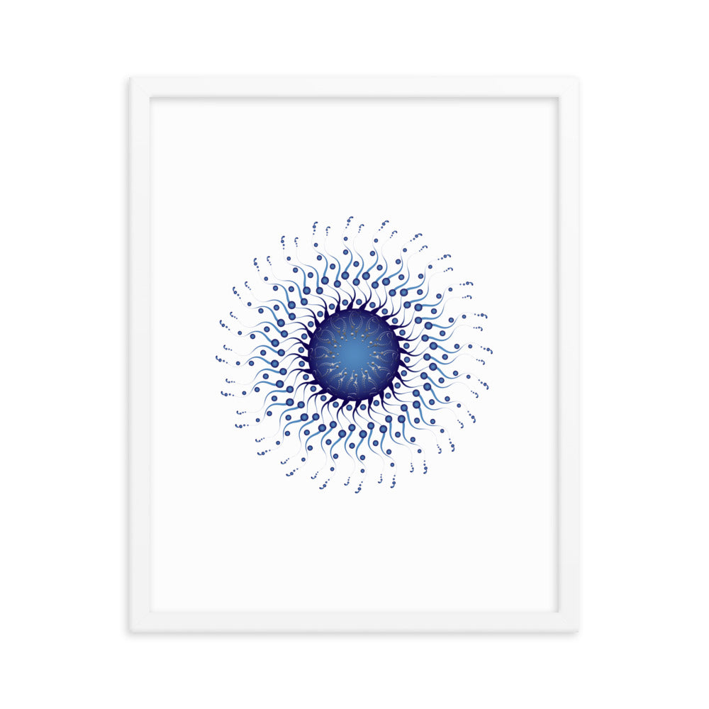 Framed poster Mandala Circularium No 2307 Free Shipping