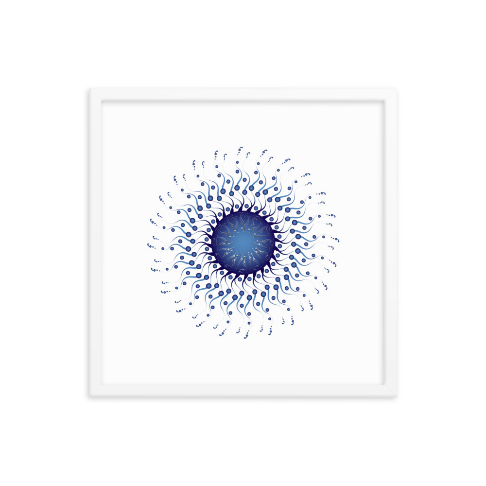 Framed poster Mandala Circularium No 2307 Free Shipping