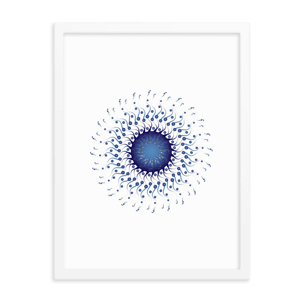 Framed poster Mandala Circularium No 2307 Free Shipping