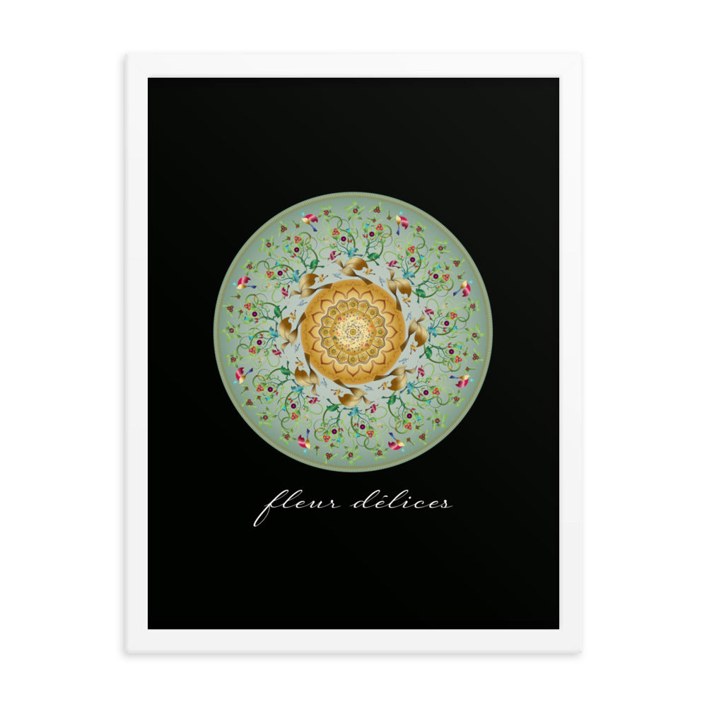 Framed Poster Circumplexical No 3953 Mandala Fleur Delices Flower Delights Free Shipping